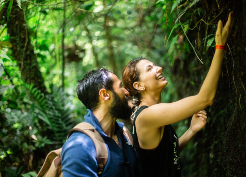 Two days in Monteverde