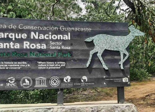 Historic Visit to Santa Rosa National Park and Swimming at Pozas Los Coyotes