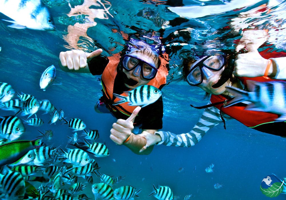 Pacific ocean, Monteverde, ...